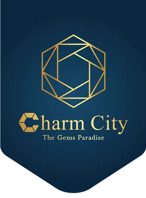 logo charm city.png