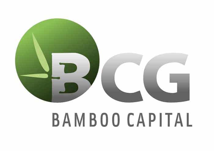 logo BCG Group