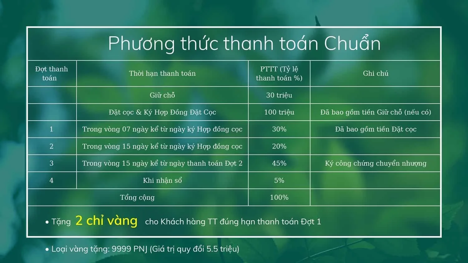 PHUONG-THUC-THANH-TOAN-DOI-MO-SKY-VIEW-1 phương thức thanh toán chuẩn