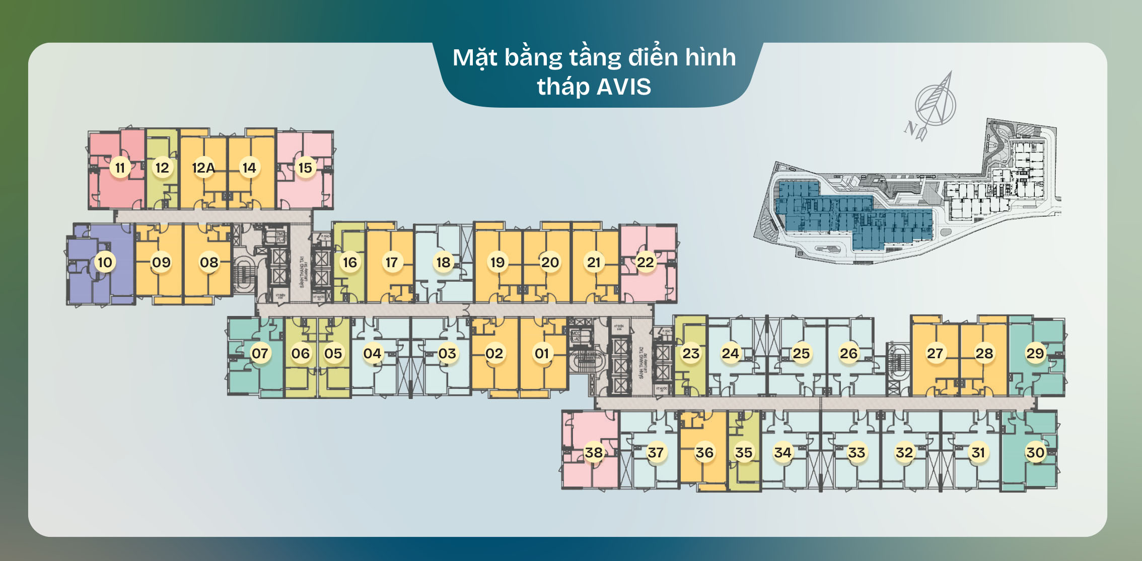 TT AVIO mặt bằng tầng điển hình